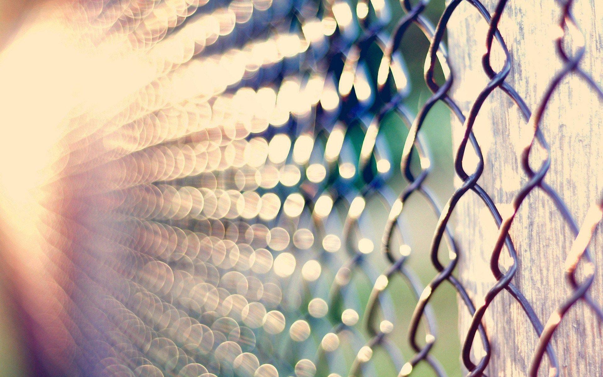 1920x1200 Fence Mesh Wallpaper HD 44921 1920x1200px