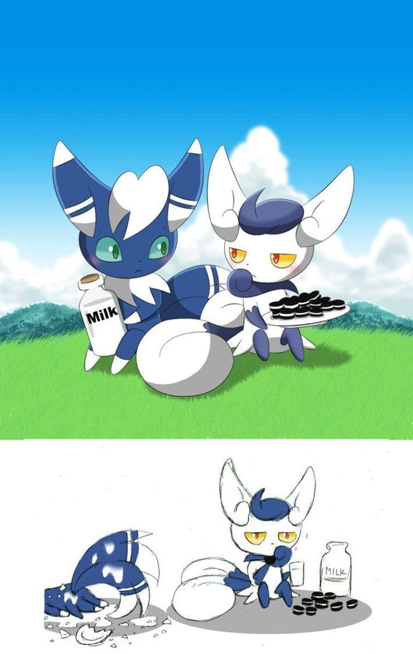 850x1347 Share?, meowstic HD phone wallpaper