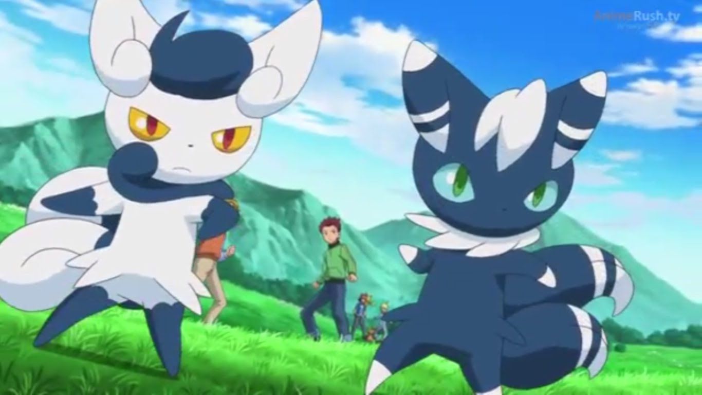 1366x768 Meowstic, the True Nidoran. Pokémania Blog