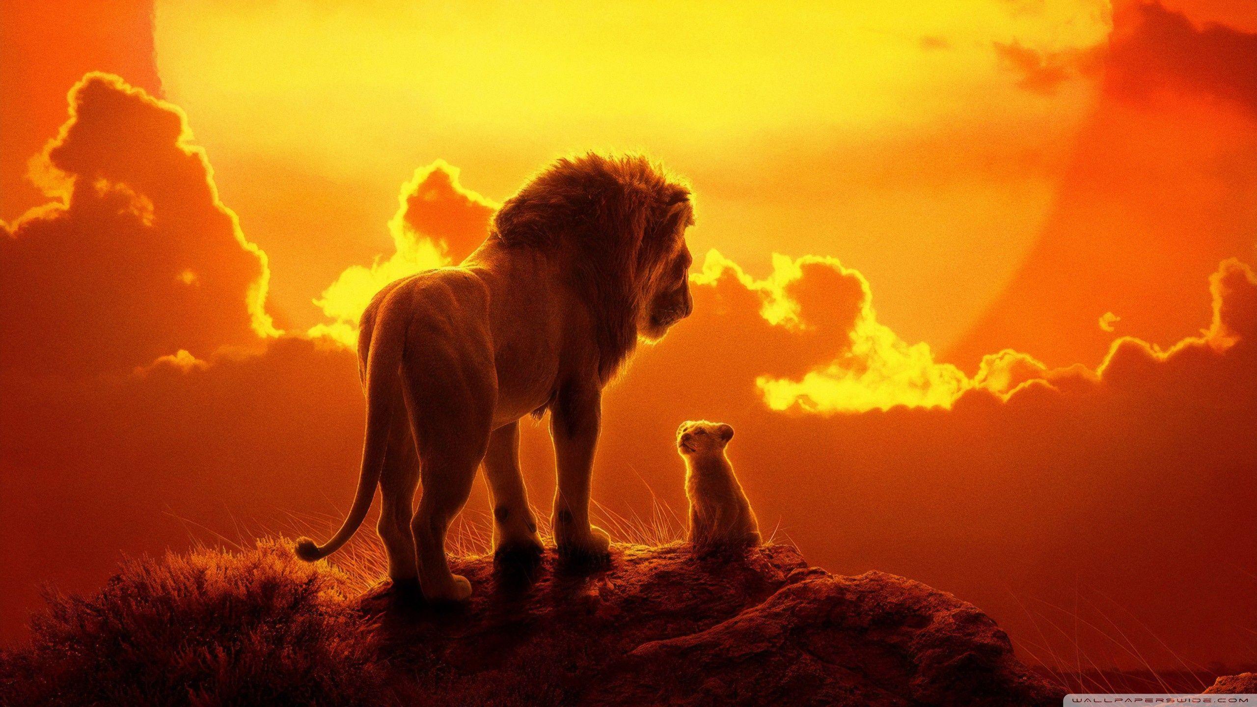 2560x1440 The Lion King 2019 Wallpaper