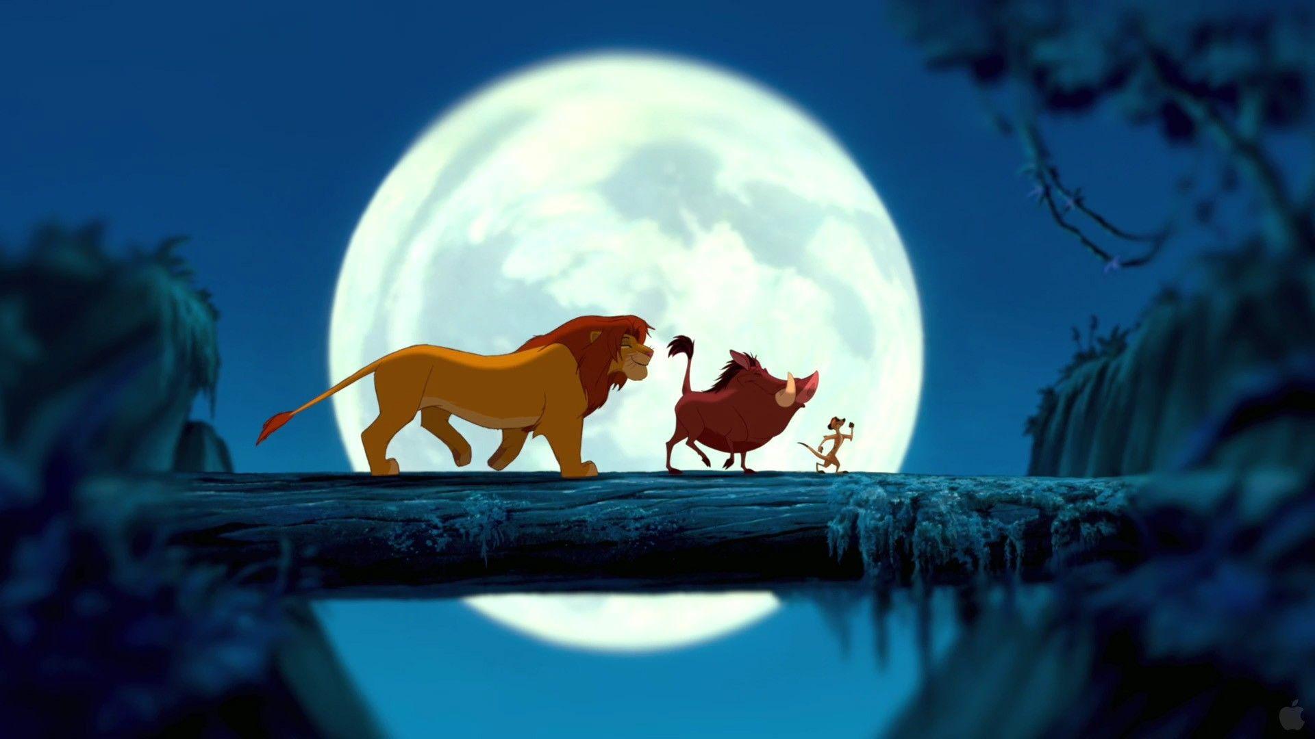 1920x1080 Lion King wallpaperDownload free amazing HD wallpaper