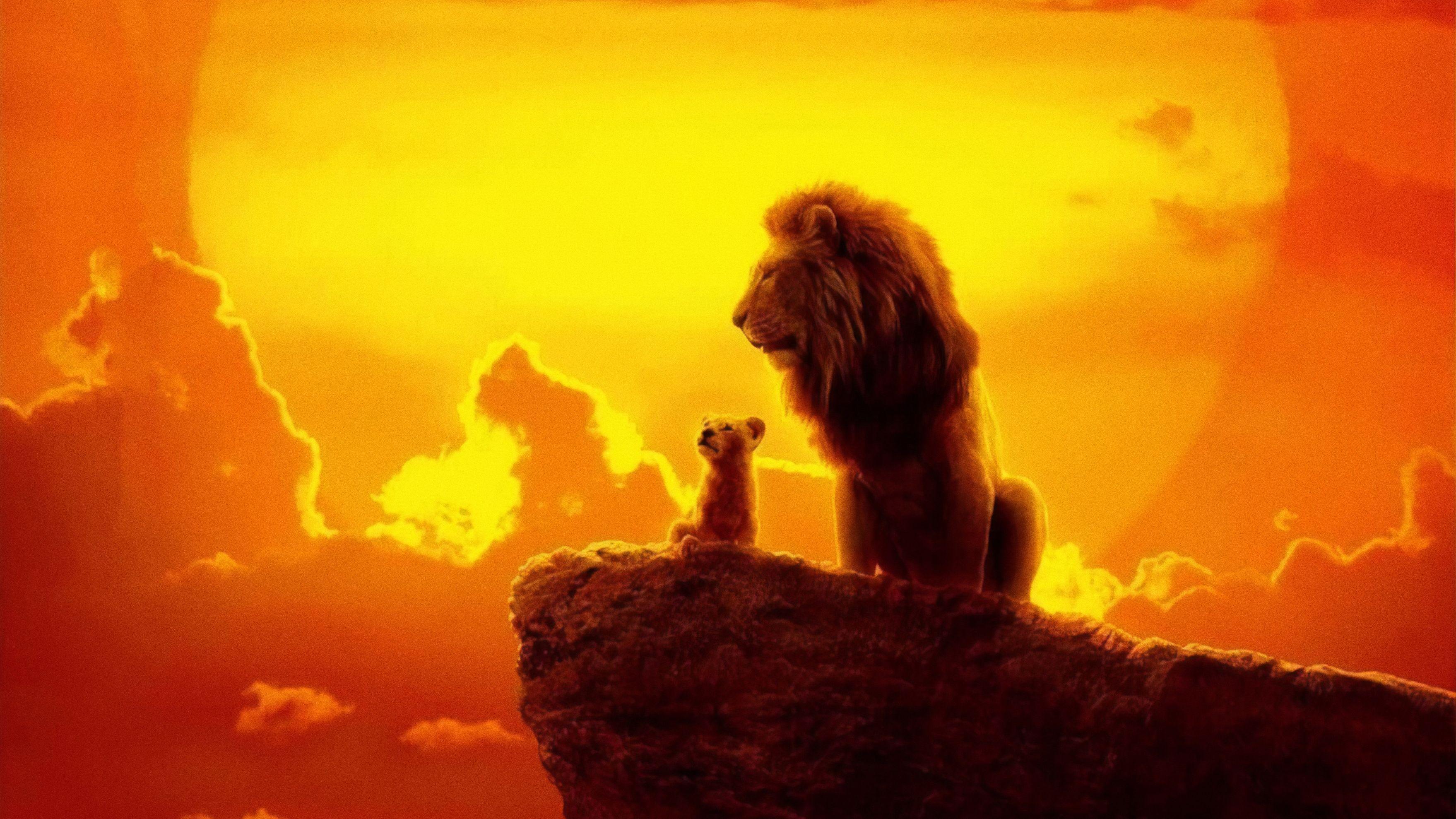 3517x1978 Wallpaper Lion King