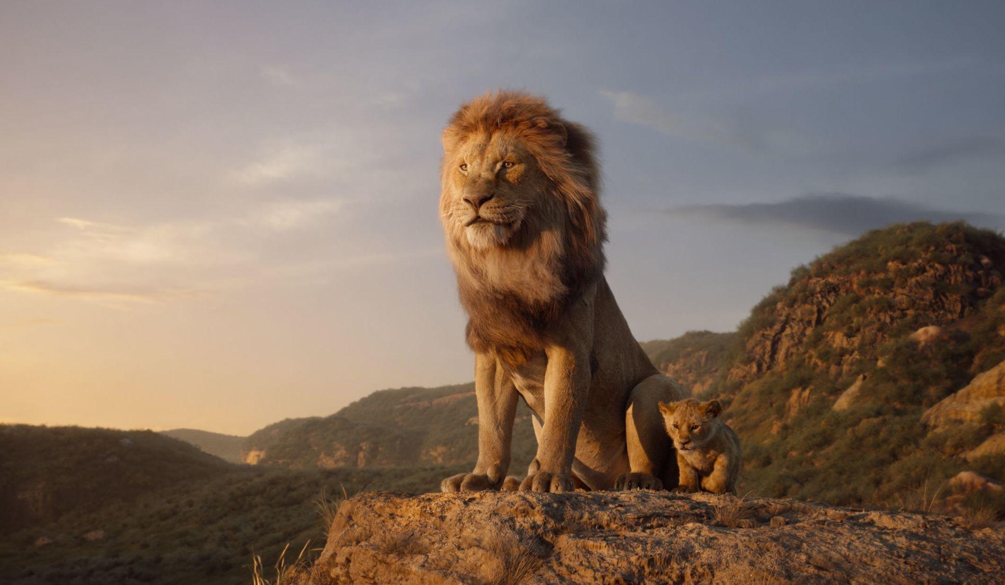 2048x1193 The Lion King (2019)