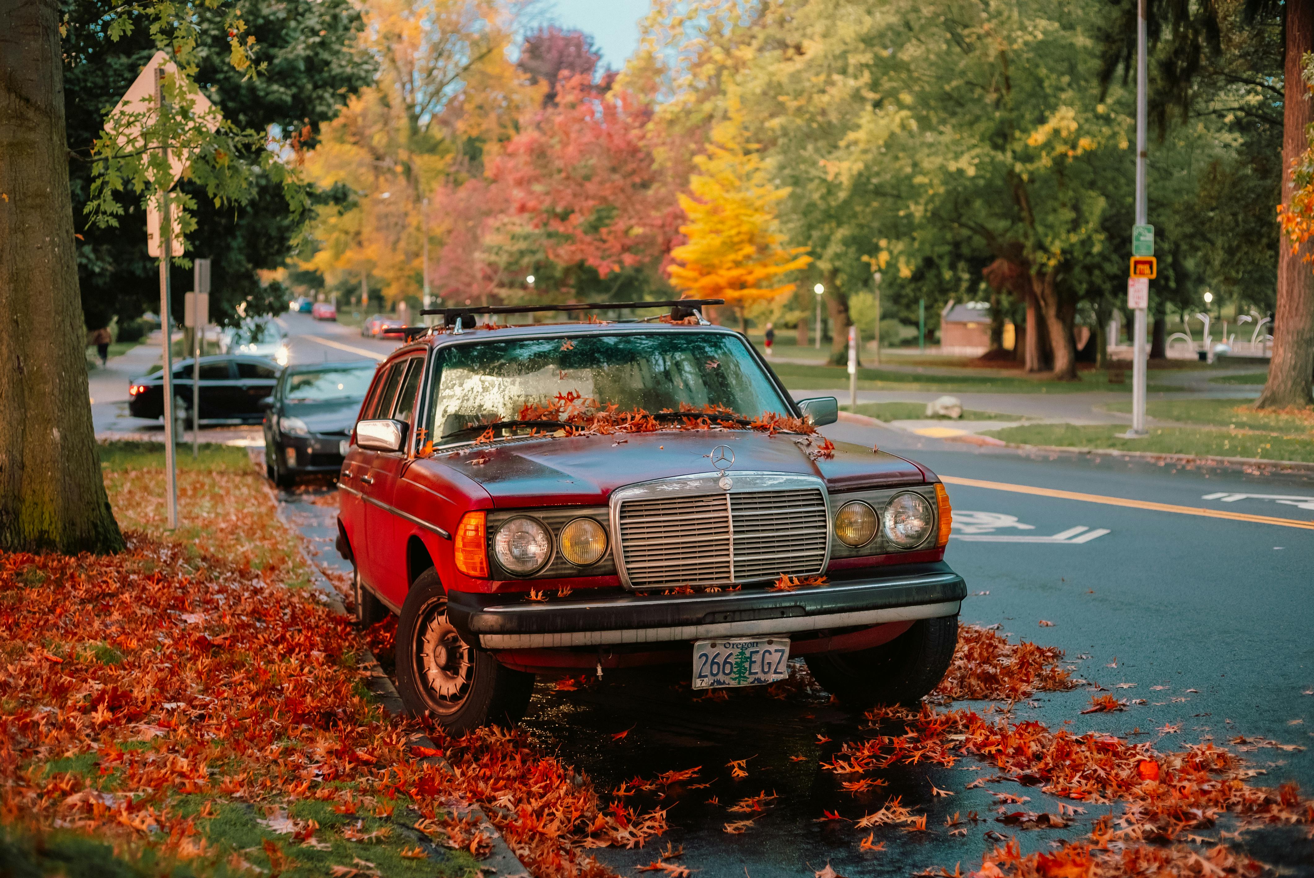 4240x2832 Old Red Mercedes W123 Station Wagon Covered with Autumn Leaves · Free