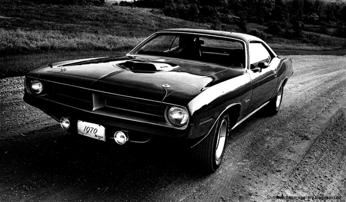 1203x703 Plymouth Cuda Wallpaper. Full HD Wallpaper