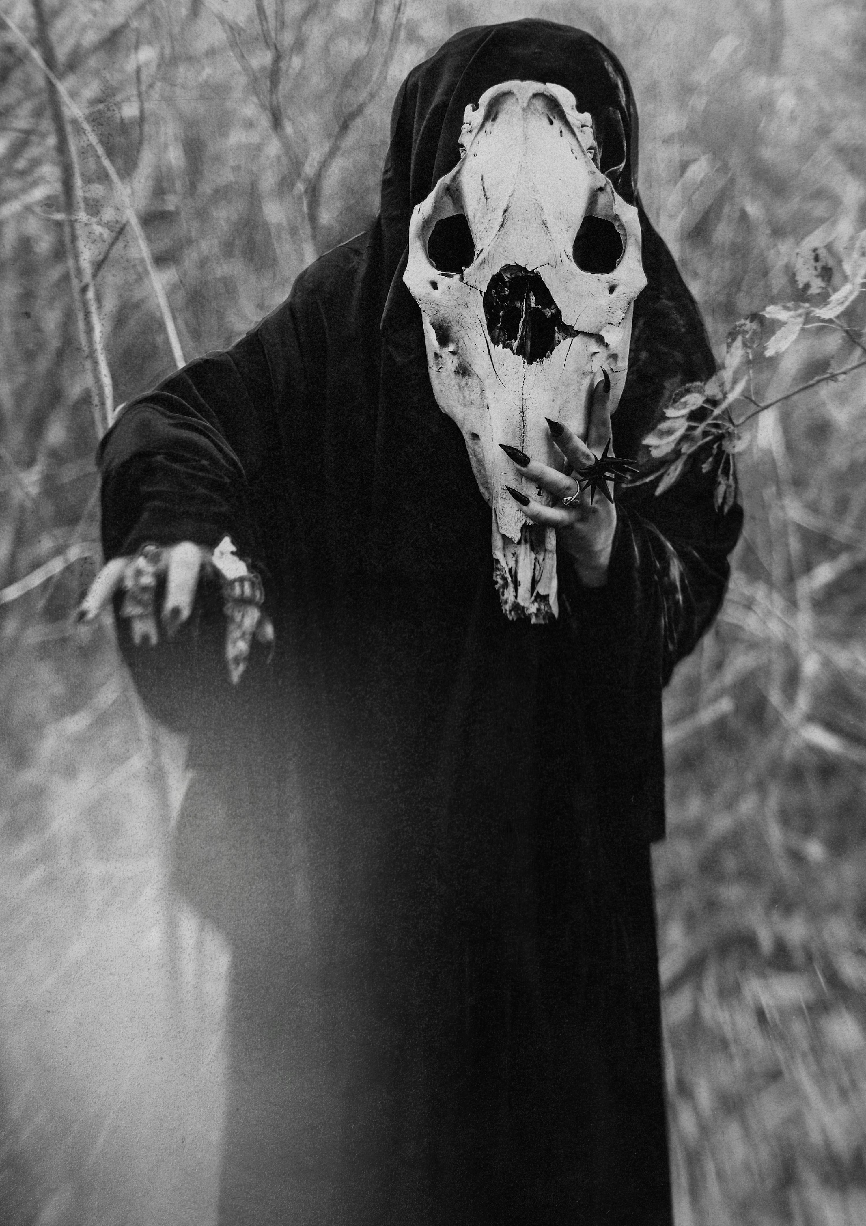 3000x4246 Creepy Picture [HD]. Download Free Image