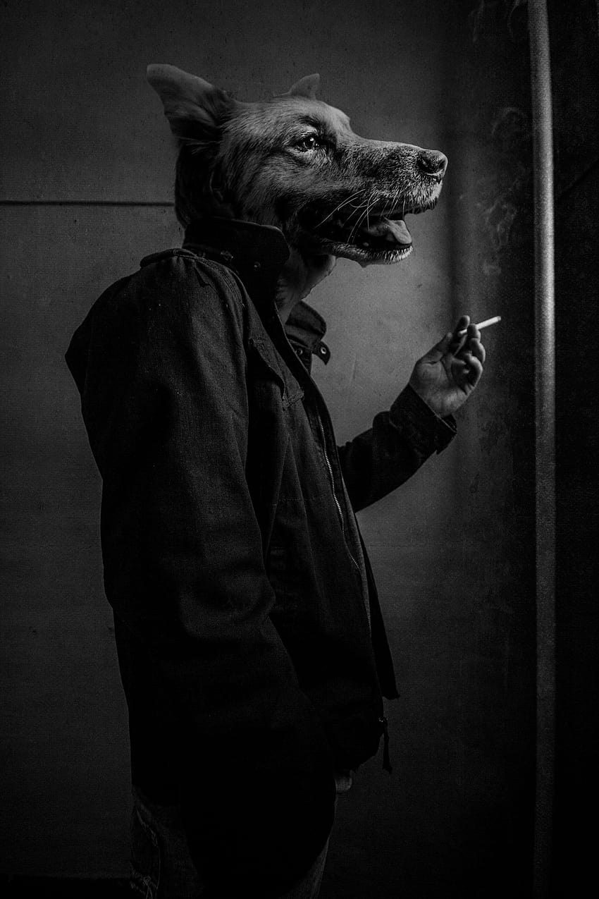 850x1275 Unsettling, creepy dogs HD phone wallpaper