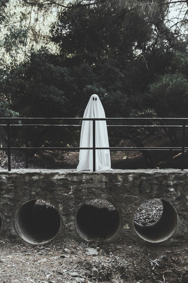 740x1110 Mysterious unsettling Image