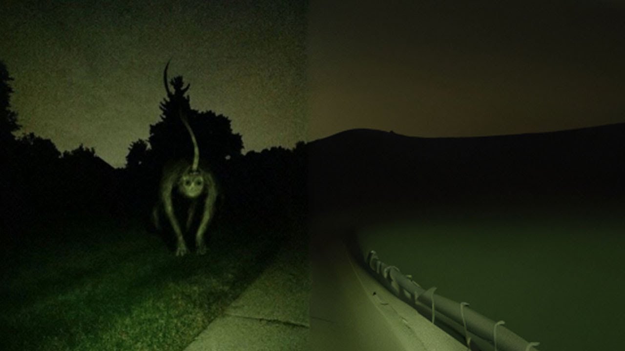 1280x720 unsettling image turned into ai video pt. 1