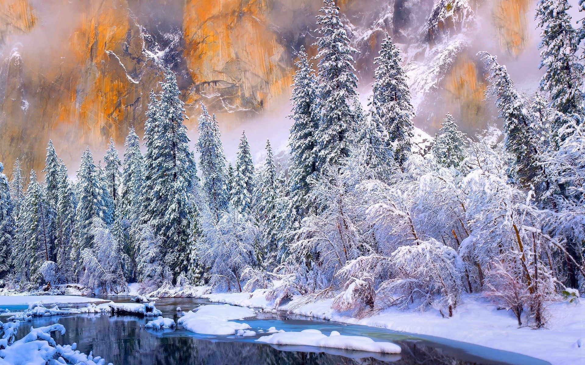 1920x1200 Download Nature Winter HD Wallpaper
