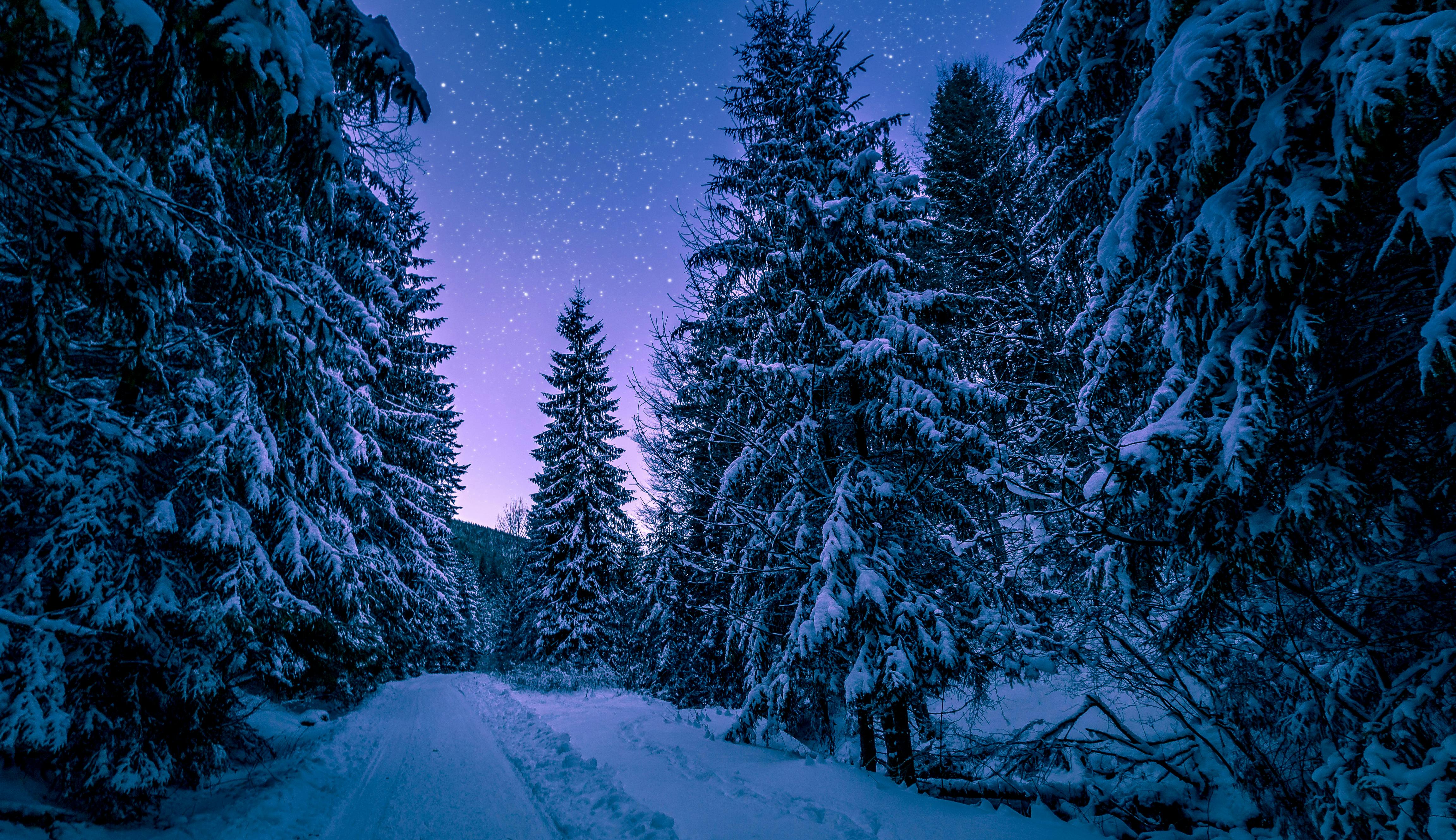 4608x2660 Best Winter Picture · 100% Free Download Winter Image & Winter Wallpaper