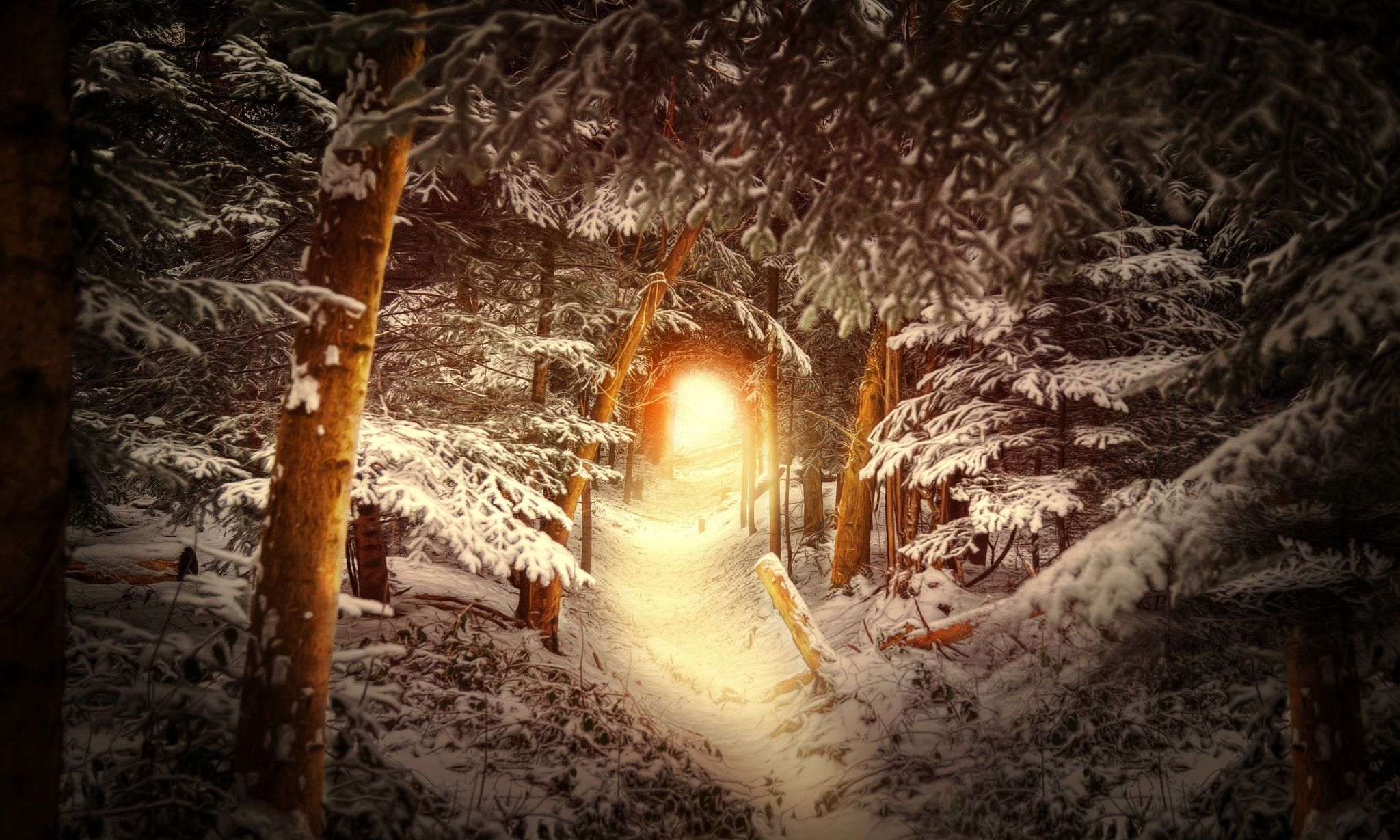 2048x1229 Wallpaper winter, forest, snow, trees, trail, the tunnel, the light at the end of the tunnel for mobile and desktop, section природа, resolution 2048x1229
