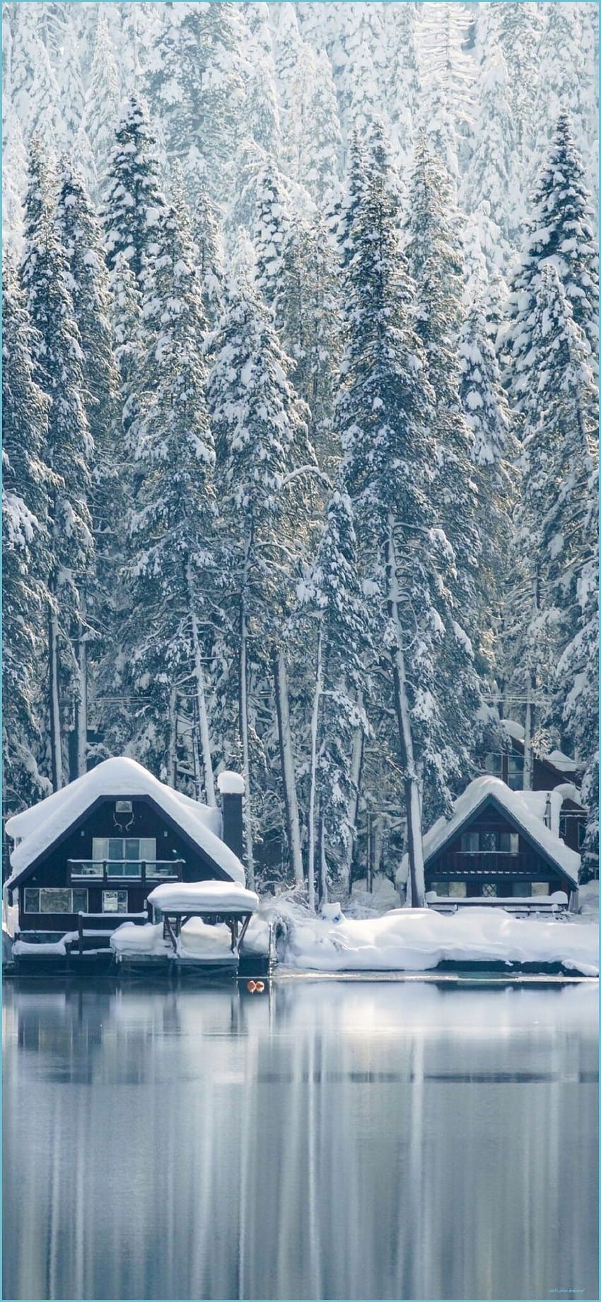 850x1840 Weekends: Winter Wonderland for iPhone and iPad, winter iphone 10 HD phone wallpaper