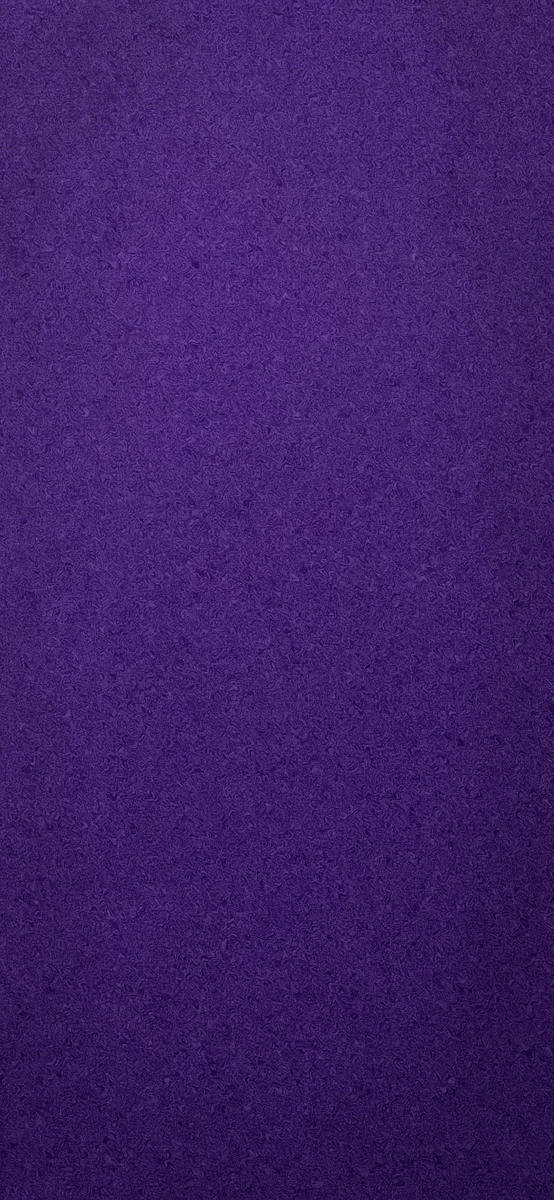 800x1732 Plumb Purple, background, blank, clean, minimal, open, purple, simple, texture, HD phone wallpaper
