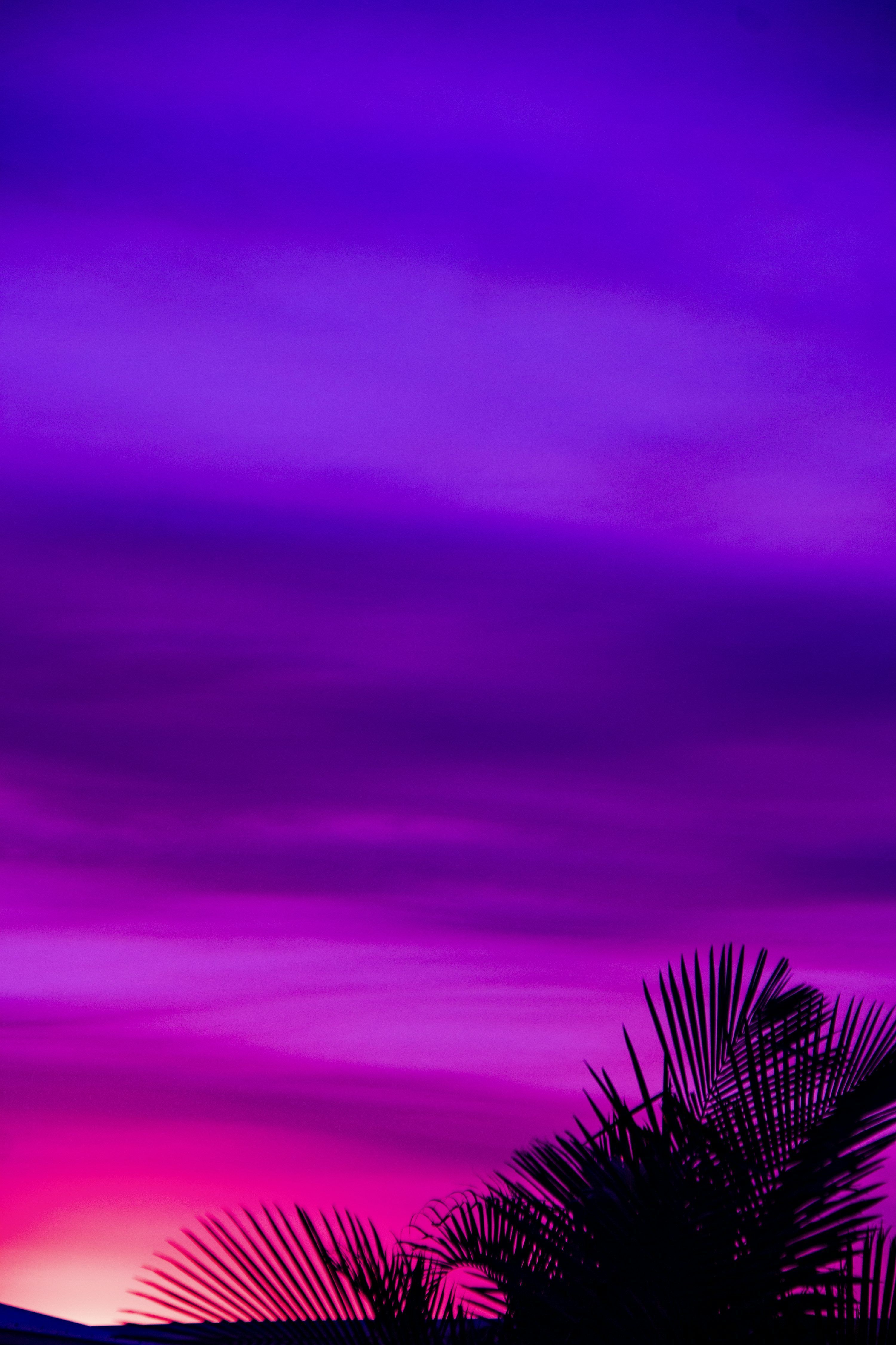 3000x4500 Purple Wallpaper Picture Creators