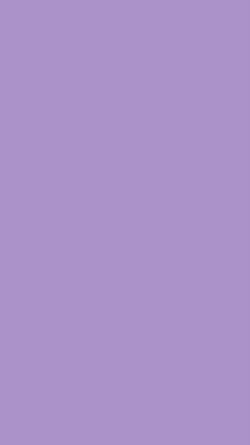 800x1421 Light Purple, Francisco, Light, amoled, big, black, book, boy, brown, car, clean, HD phone wallpaper