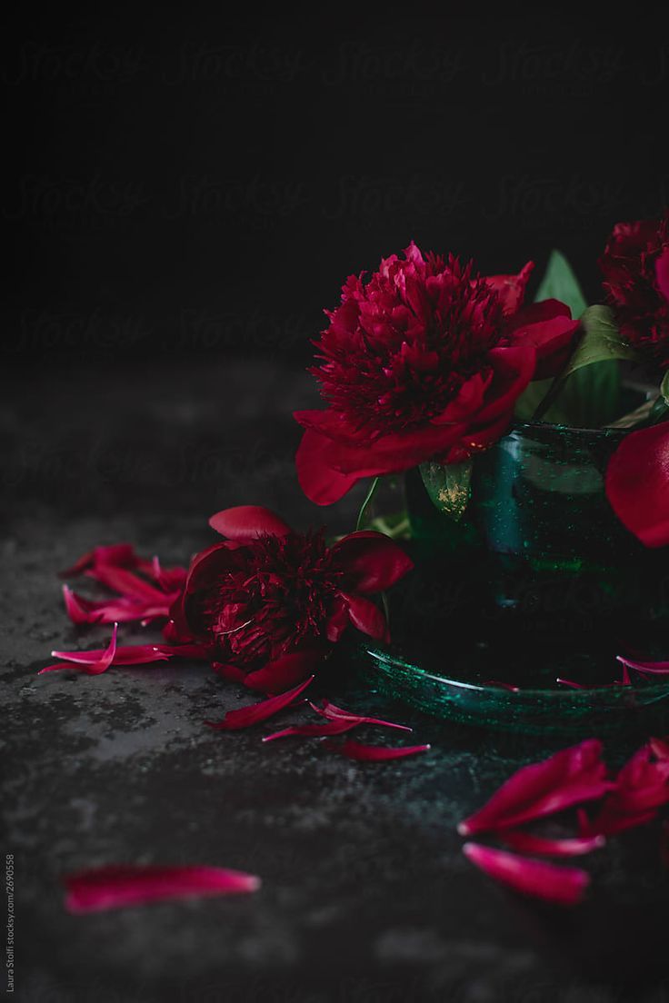 736x1104 One Red Peony Falled From Vase On Table Close To Petals