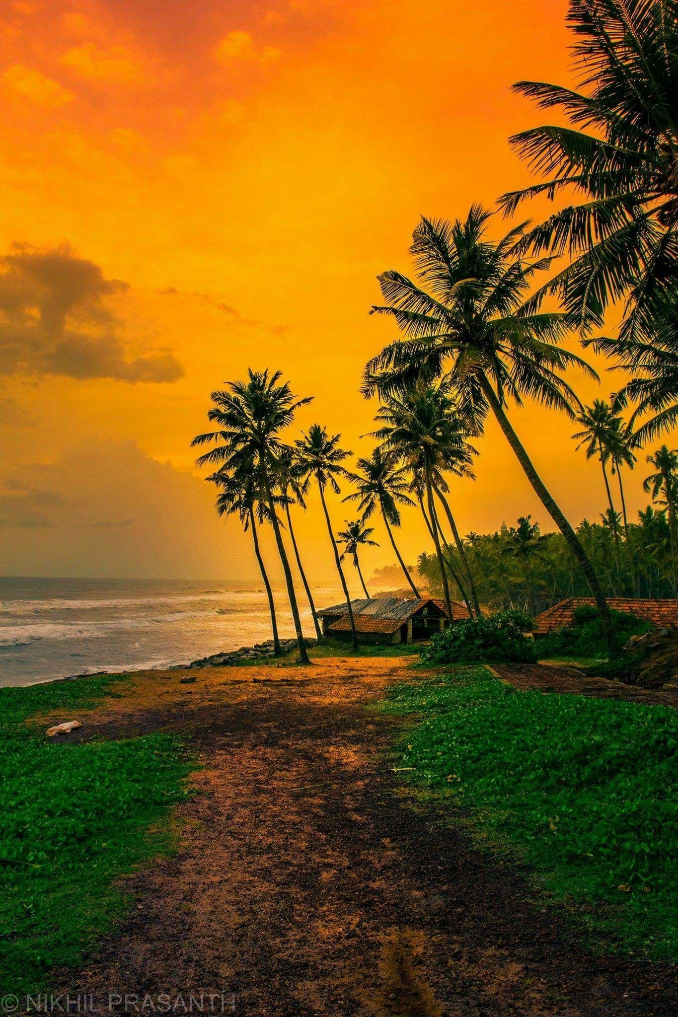 1365x2048 Varkala Wallpaper