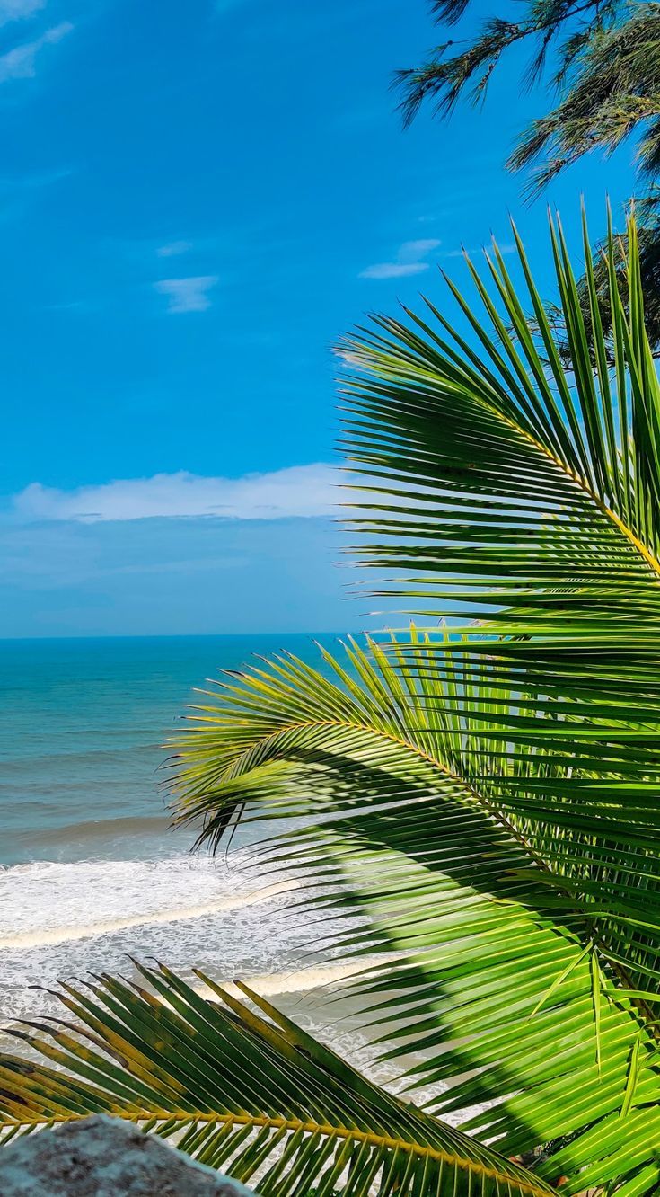 735x1332 Varkala Beach