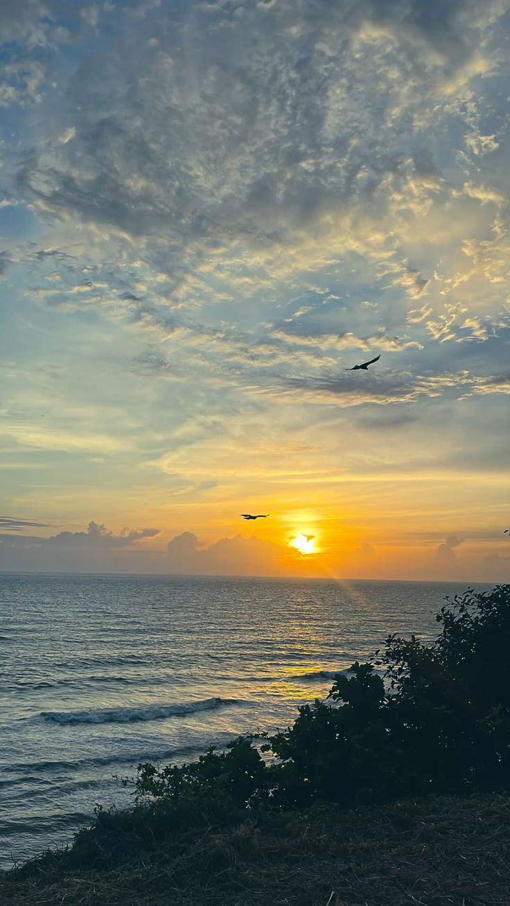 736x1308 sunset