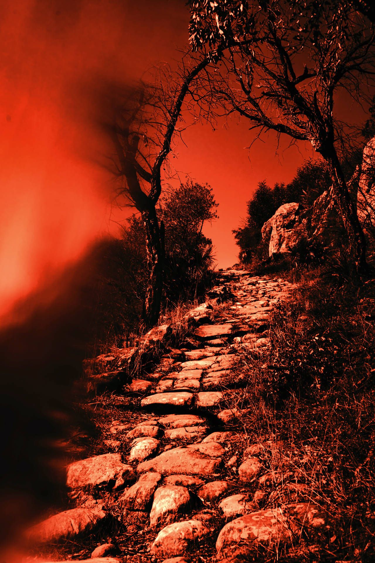 1280x1920 Download Welcome to Hell Wallpaper