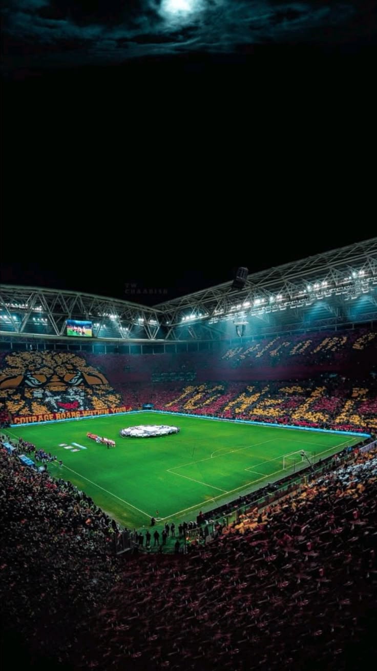 736x1308 Welcome To Hell. Galatasaray Stadium 4k Wallpaper