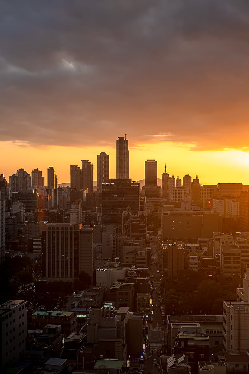 800x1200 City, buildings, aerial view, seoul, south korea, HD phone wallpaper