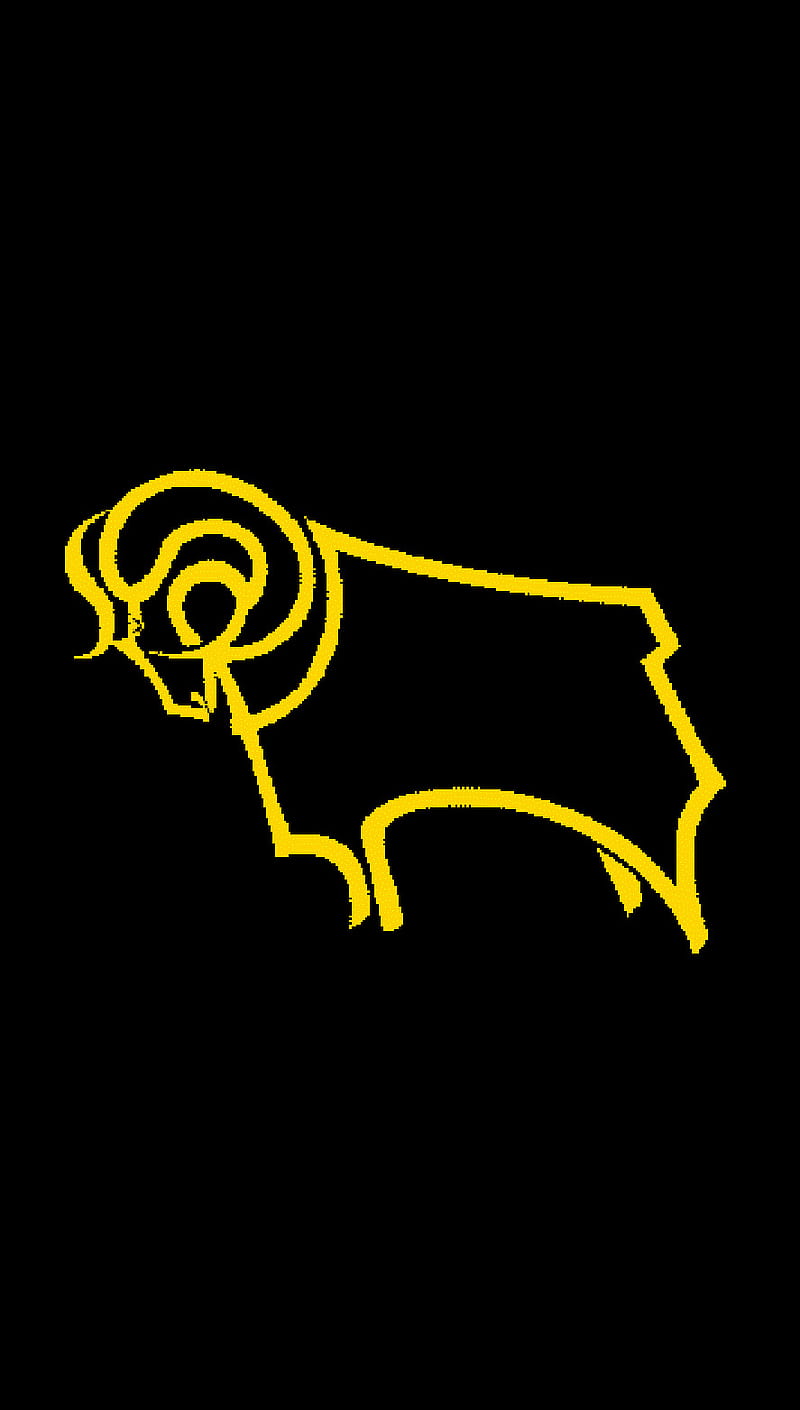 800x1410 3072x768px, 2K free download. Dcfc, county, derby, HD phone wallpaper
