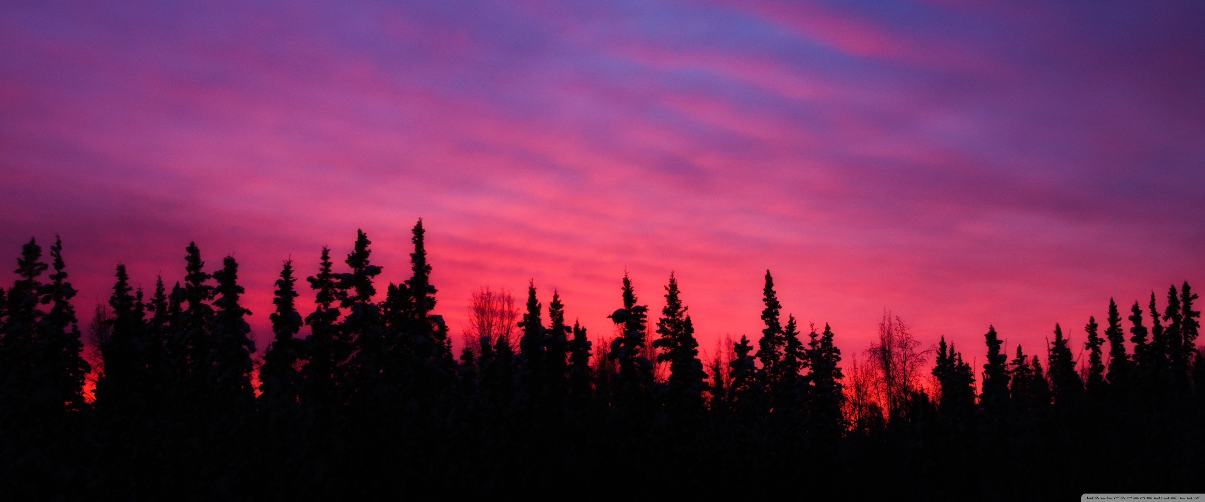 3840x1600 Pink Sunset 4K UHD Wallpaper for UltraHD Desktop and TV : Widescreen and UltraWide Display : Smartphone and Tablet Devices