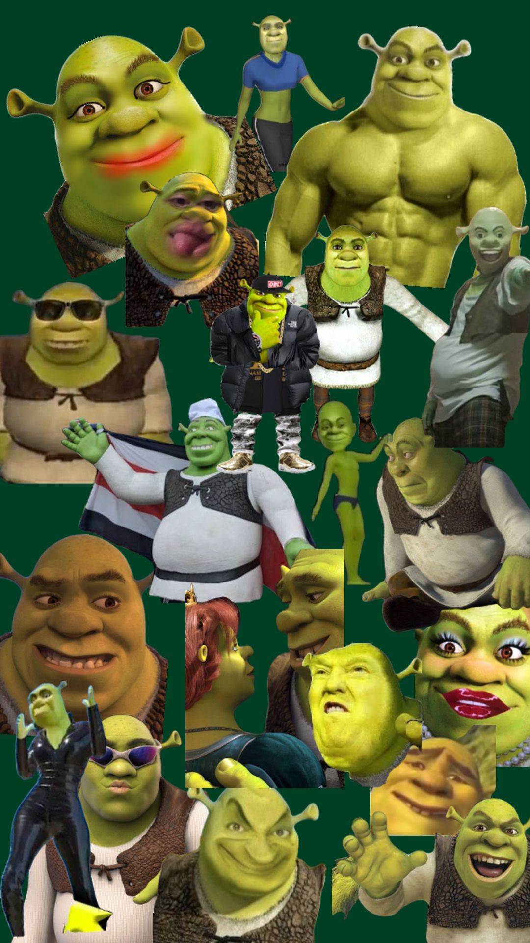 1080x1920 Preppy Shrek Wallpaper