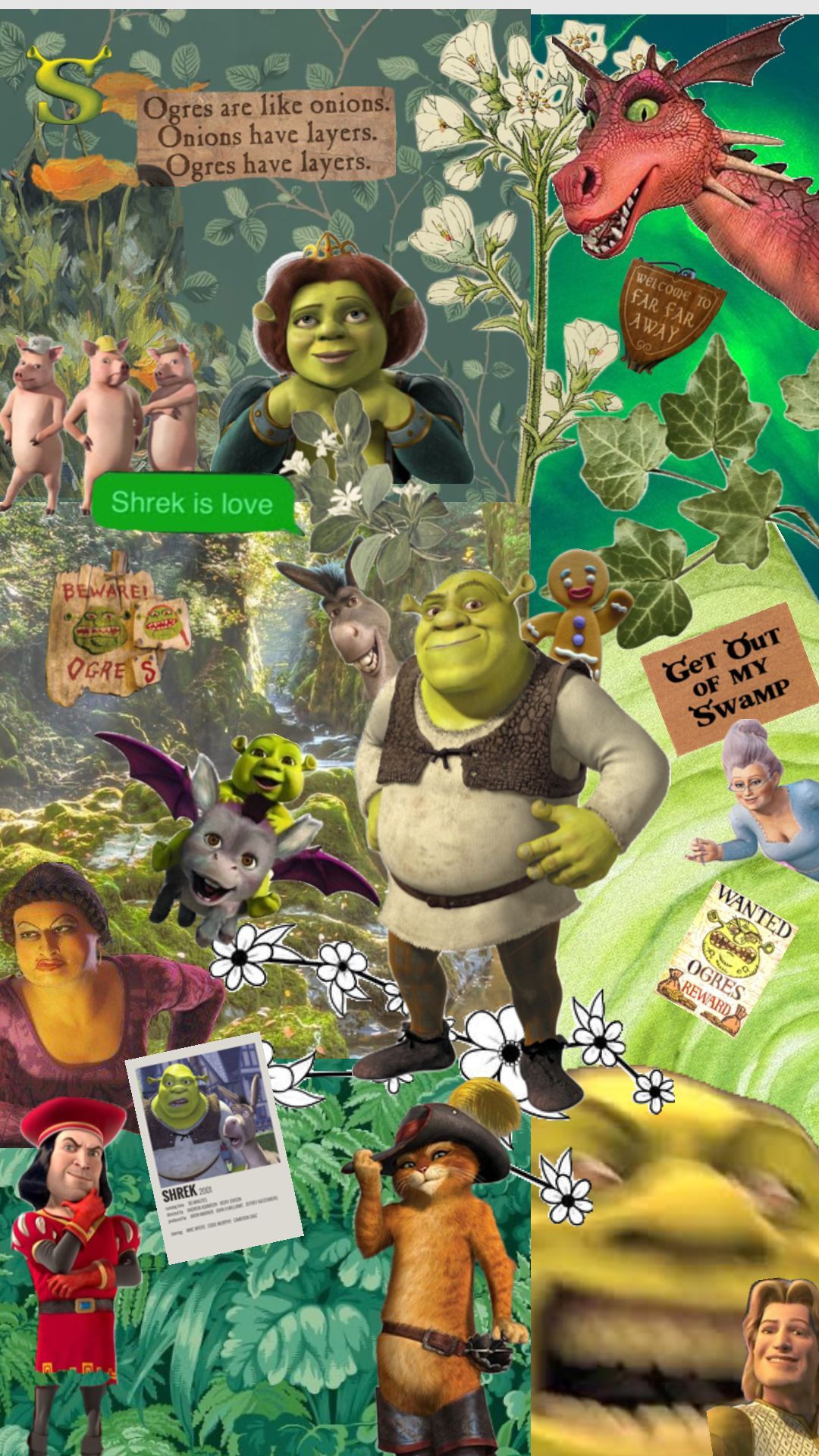 1080x1920 Preppy Shrek Wallpaper