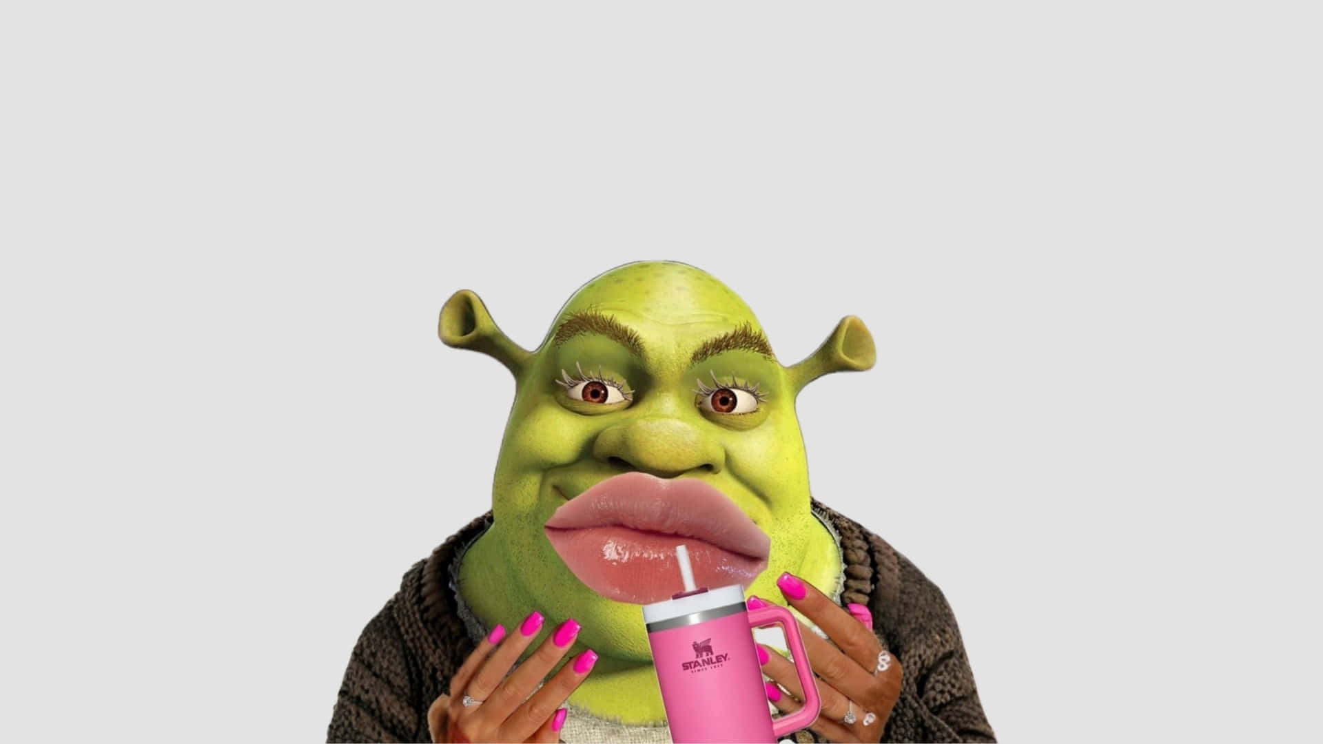 1920x1080 Download Preppy Shrek Style Wallpaper