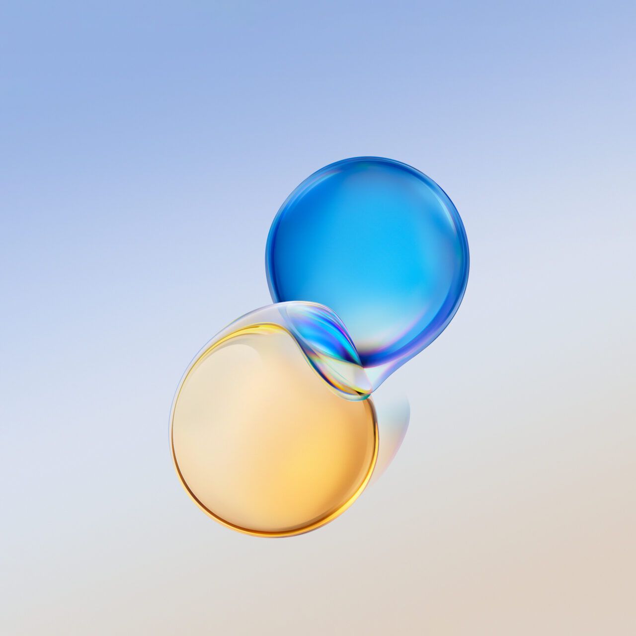 1280x1280 Honor Magic 6 (Pro) Stock Wallpaper