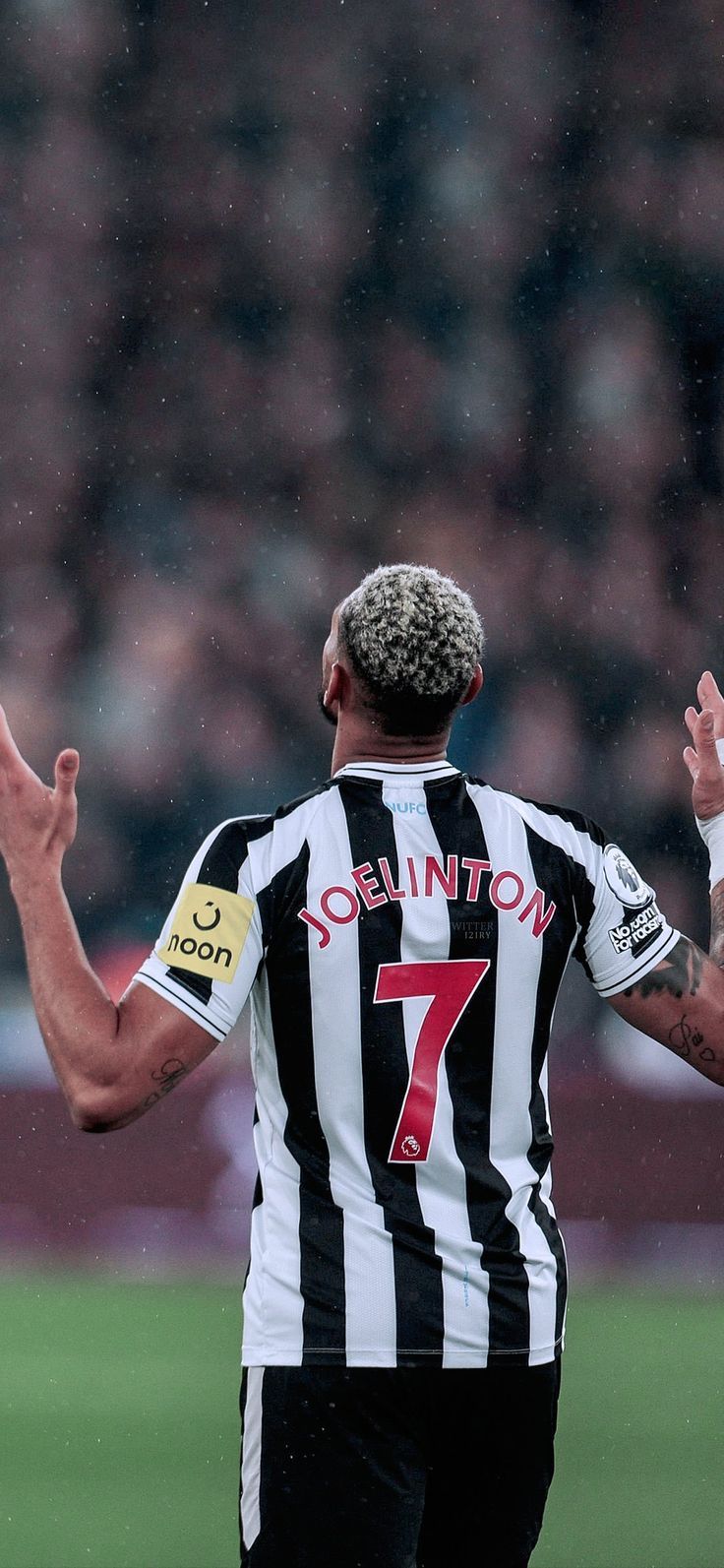 736x1593 Joelinton Wallpaper