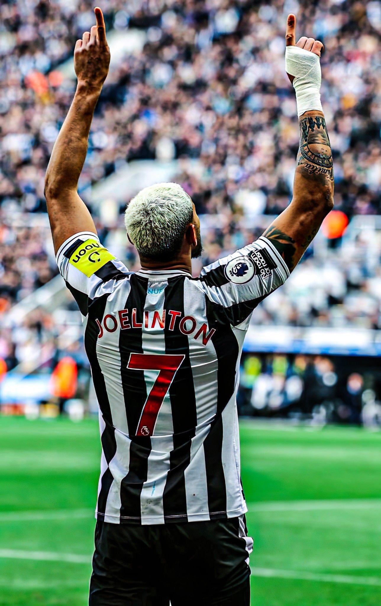 1288x2048 Discover 7 Joelinton and newcastle ideas on this Pinterest board. newcastle united, newcastle united fc, newcastle united football and more