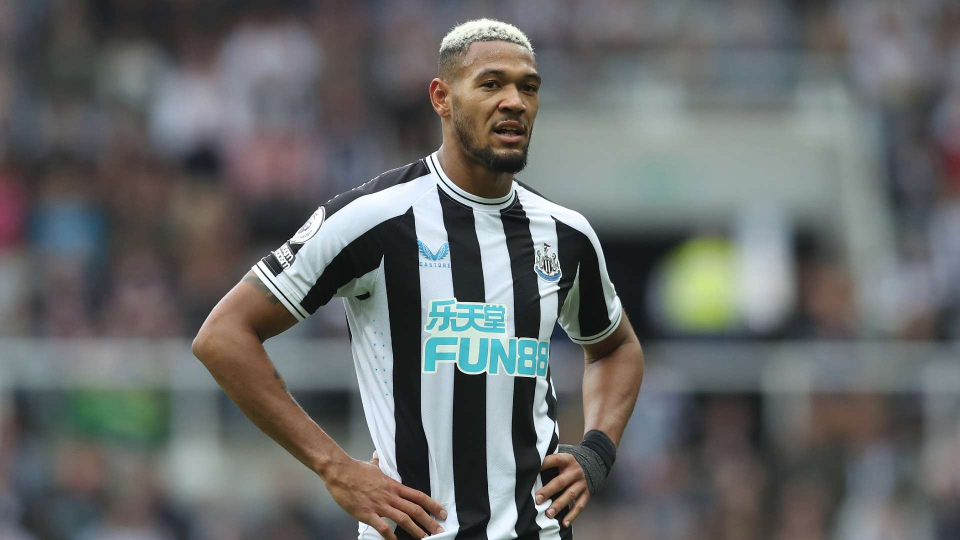 1920x1080 Newcastle Boss Howe Considering Dropping Joelinton Following Drink Driving Charge. Goal.com English Oman