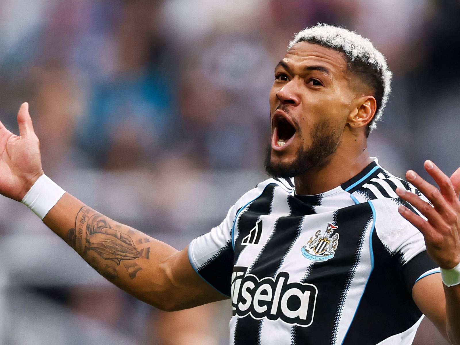 1600x1200 Joelinton Upgrade: PIF Pursuing £44m Newcastle Move For One Man Army