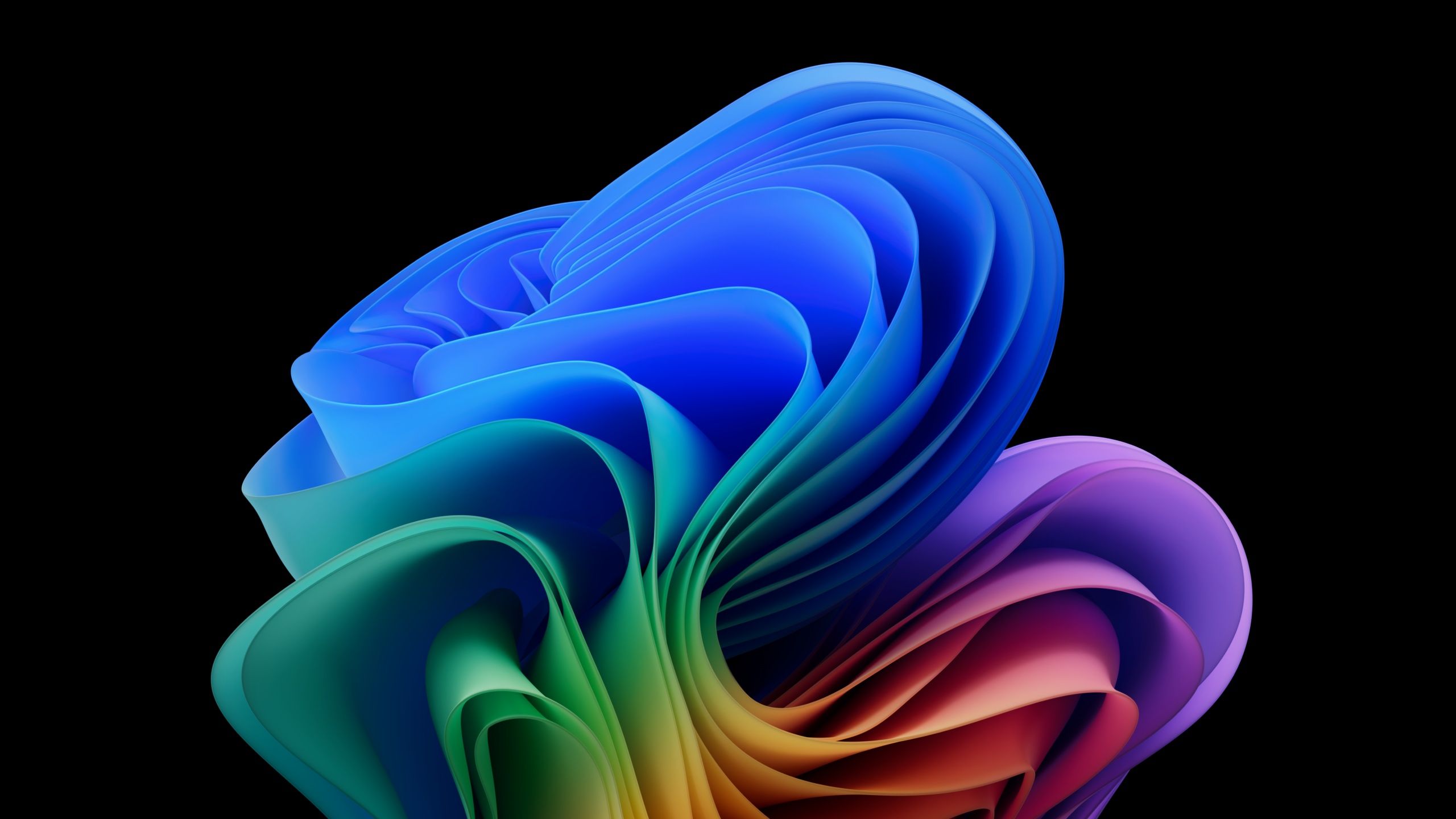 2560x1440 Windows 11 Copilot+ AMOLED 8K Wallpaper