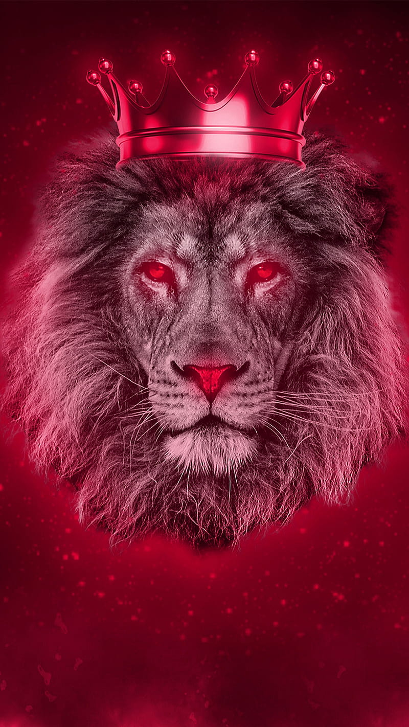 800x1422 The king, animal, crown, face, head, lion, red, wild, HD phone wallpaper