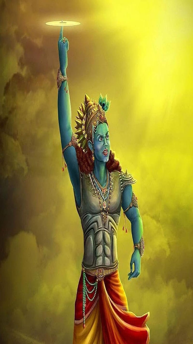 800x1422 Shri Krishna, dwarkadhish, govind, keshav, lord krishna, madhav, muralidhar, HD phone wallpaper
