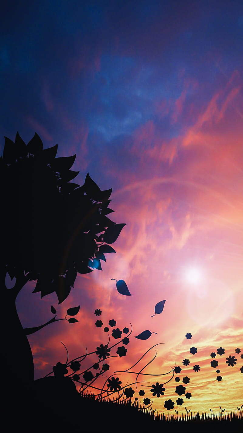 800x1422 Dreamy World, Nock, HD phone wallpaper