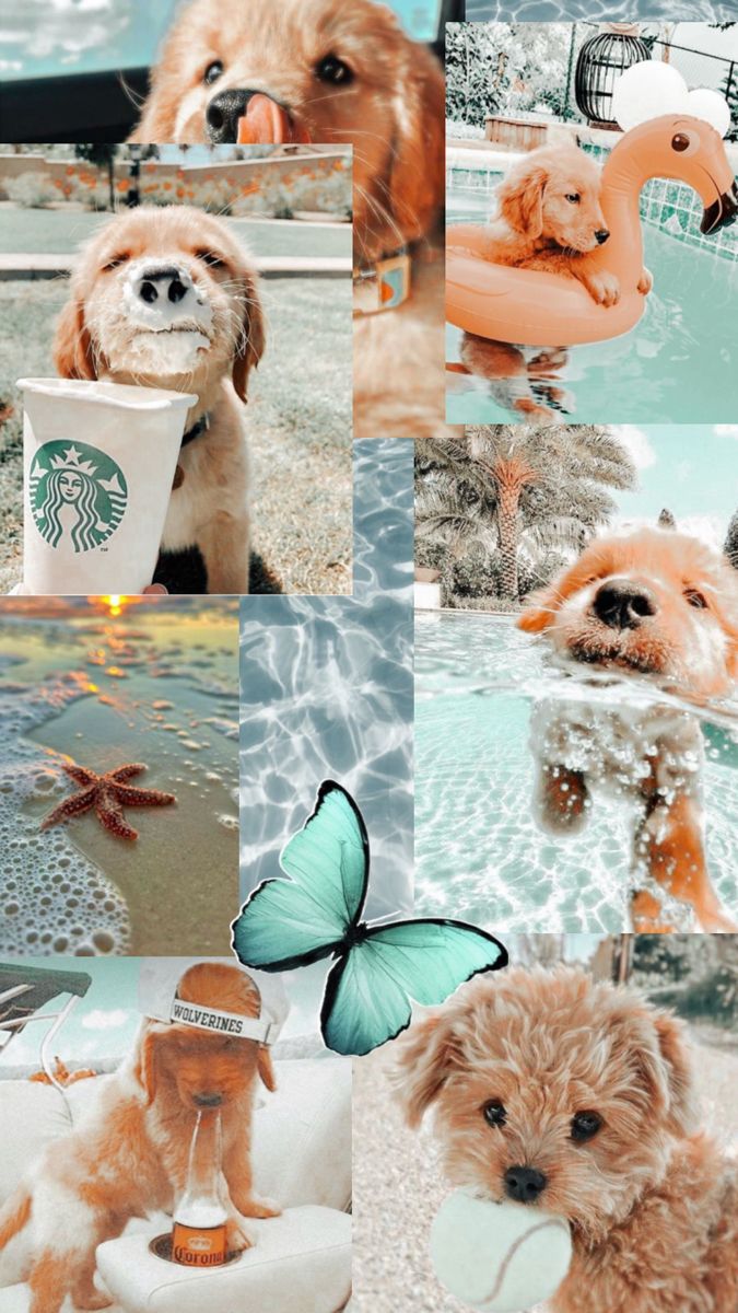 675x1200 Pinterest