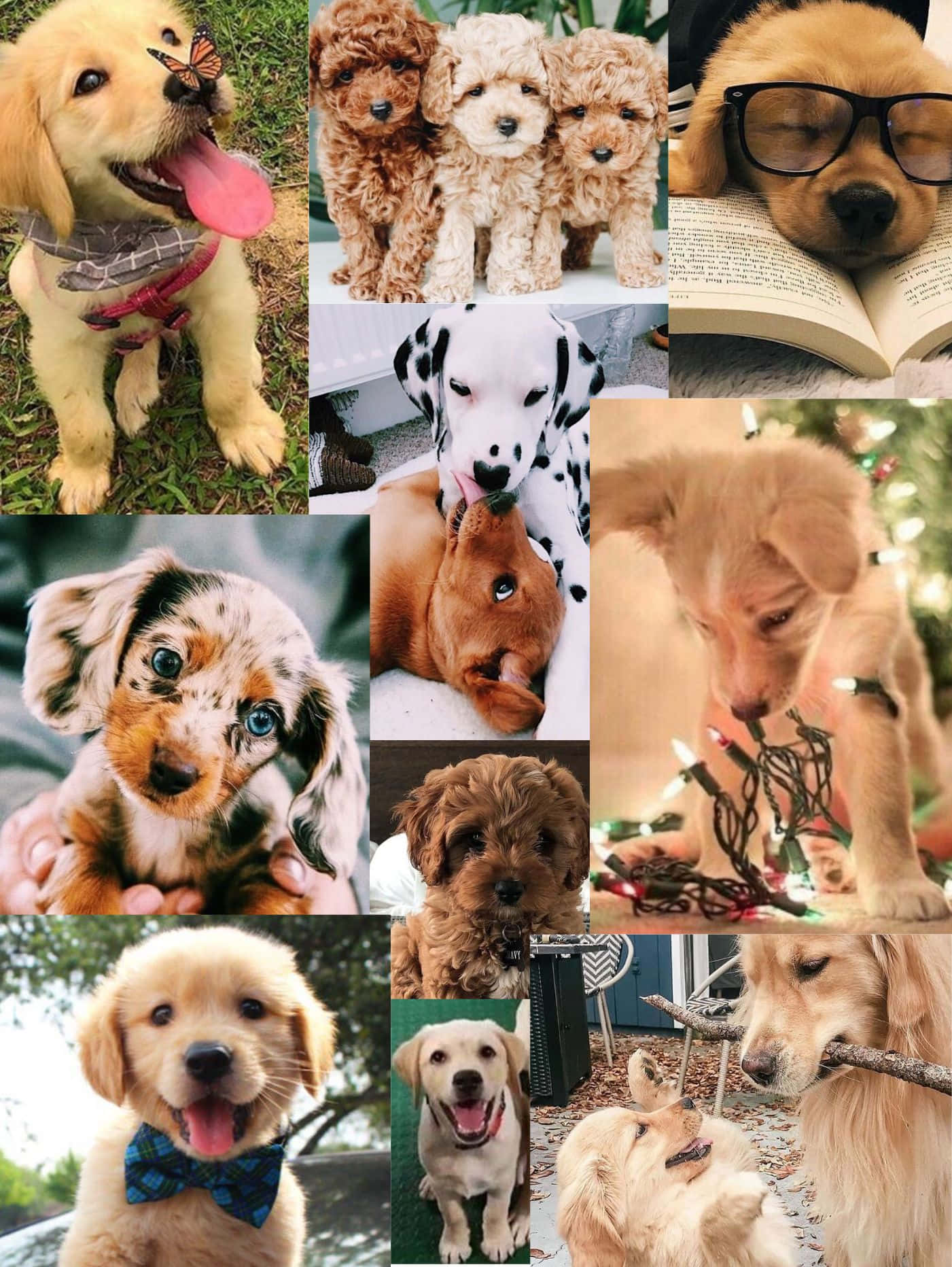 1401x1864 Download Adorable Puppy Collage Wallpaper