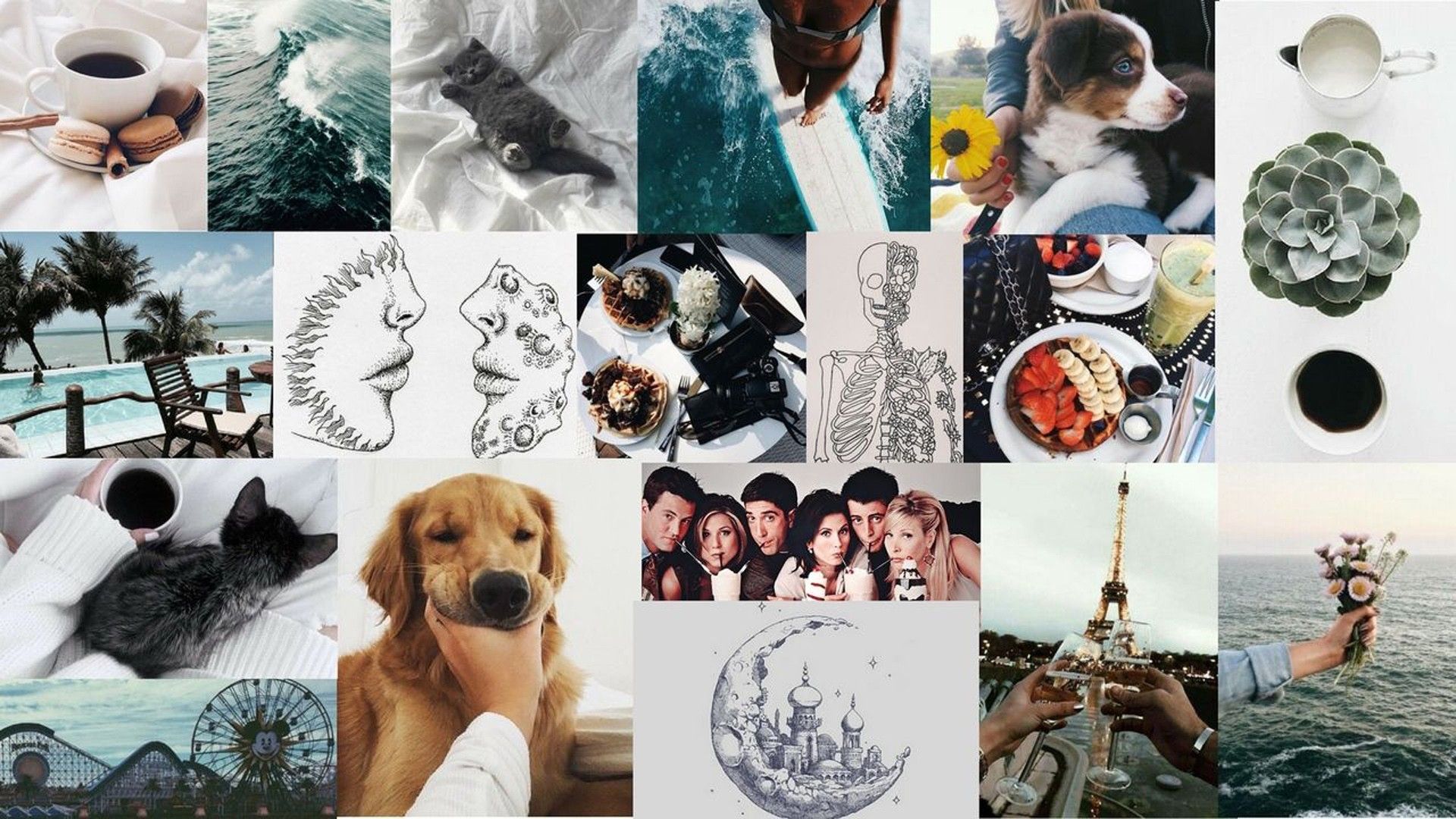 1920x1080 Dogs Puppy Paintings Skeleton White Cups Biscuit Nature HD Fall Collage Wallpaper