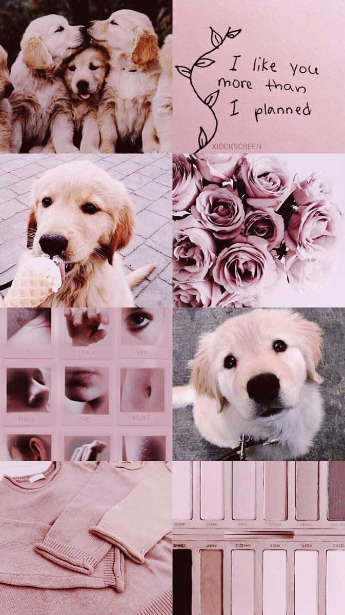 673x1200 Download A Collage Of Picture Of Dogs And Flowers