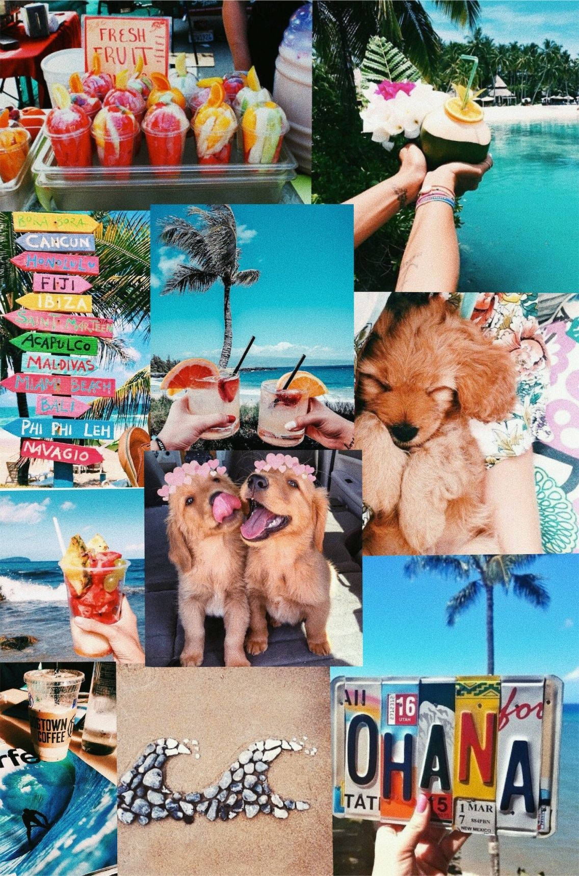 1136x1718 Download Puppies Summer Vibes Wallpaper