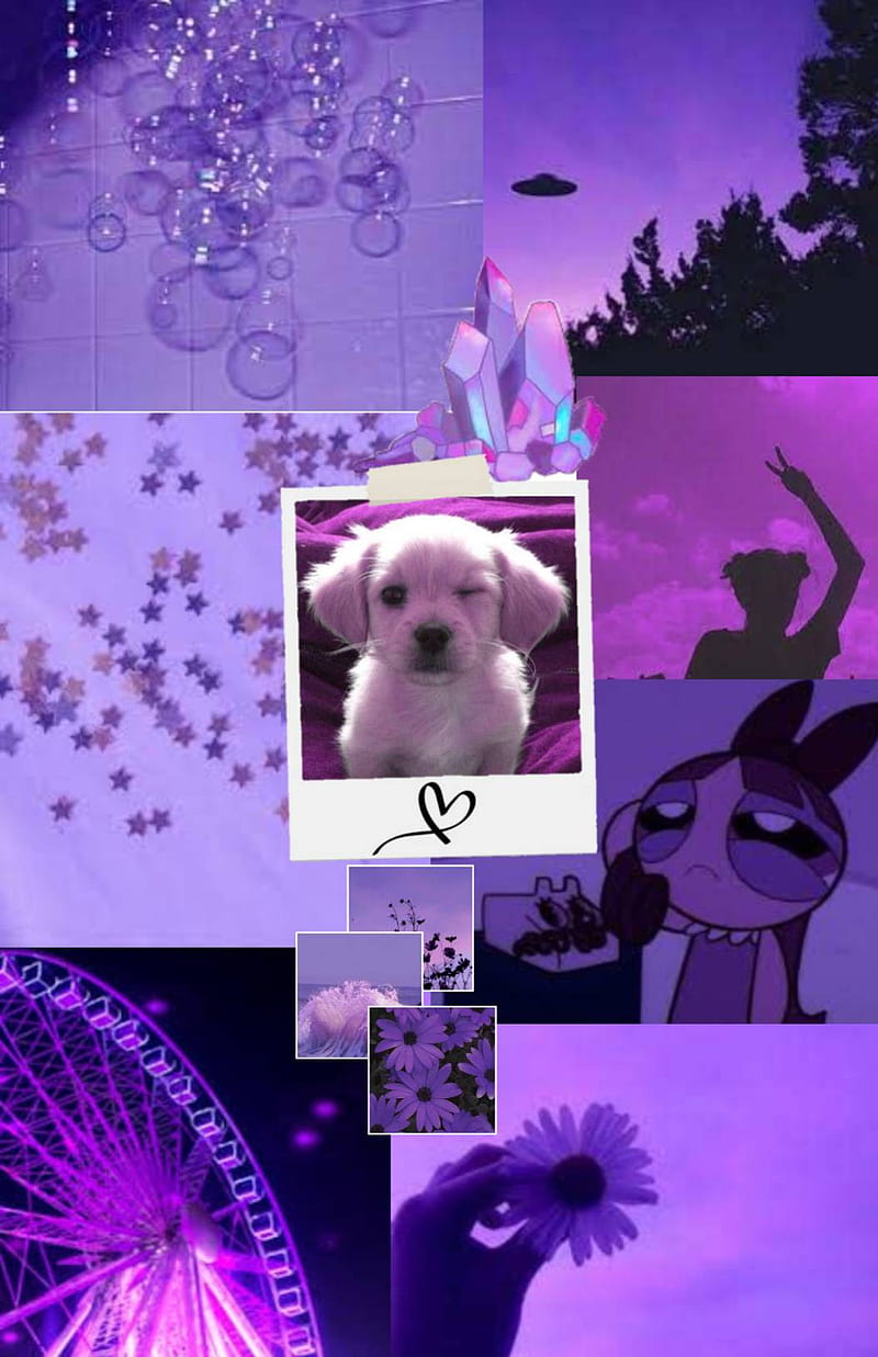 800x1237 HD aesthetic puppy wallpaper