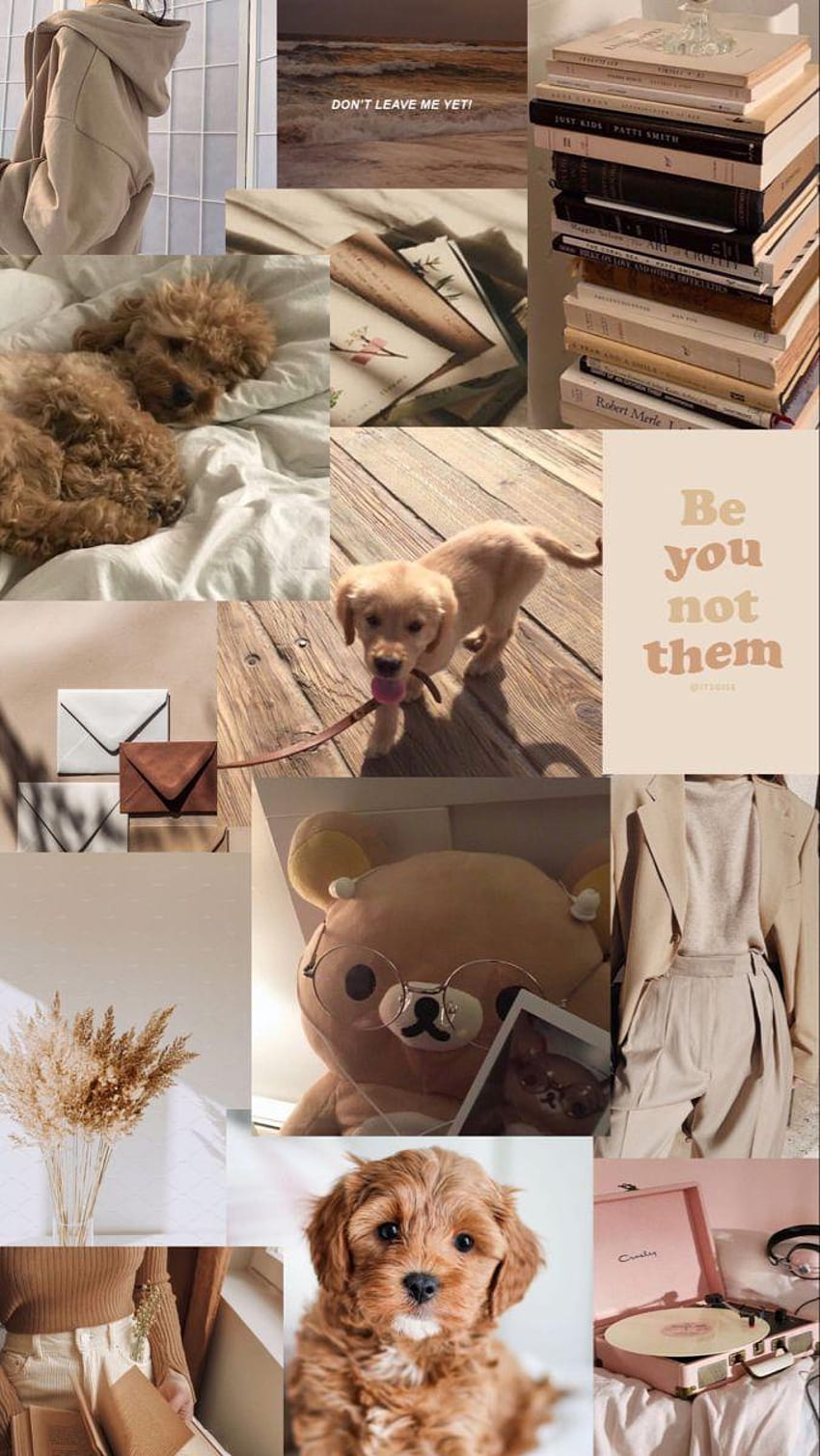 850x1509 Aesthetic collage for Android, puppy collages HD phone wallpaper