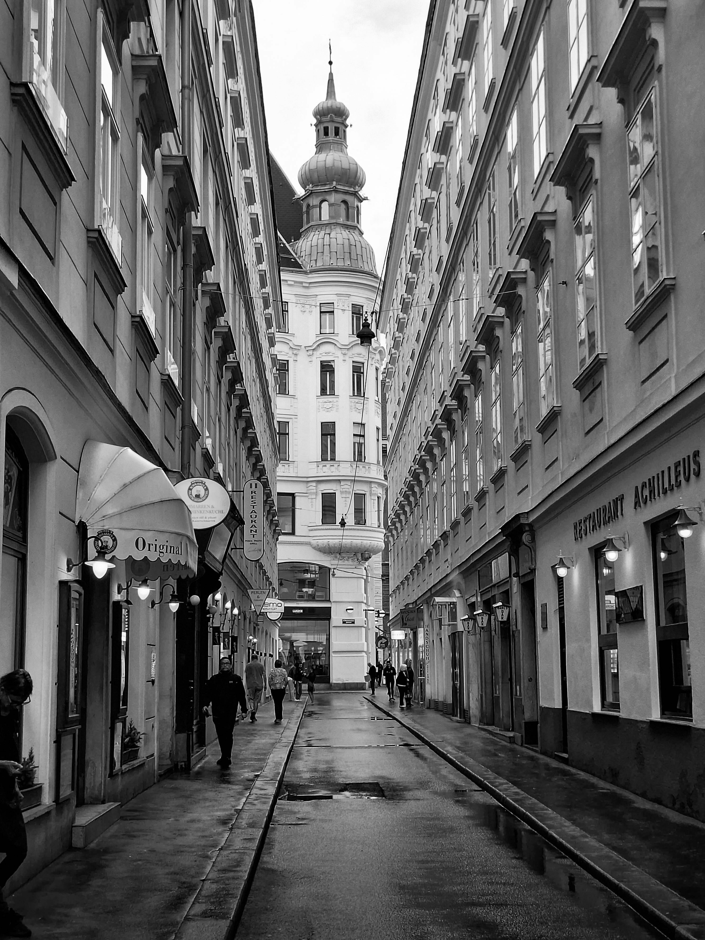 2974x3966 Vienna · Free