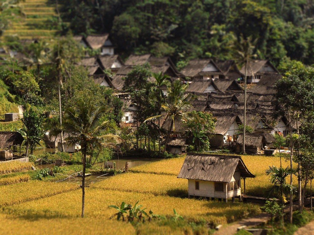 Village In Java Indonesia Indonesian Village Wallpapers - Top Free Indonesian Village Backgrounds ...